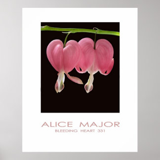 Blutungen im Herzen 331 Poster