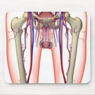 Blutversorgung Mousepad