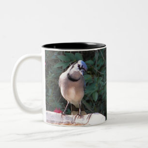 BN Spottdrossel und blaue Jay-Tasse Zweifarbige Tasse