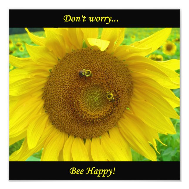 BO1050 12x12 Fotodruck (Vorne)