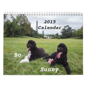 BO 2015 und sonniger Kalender
