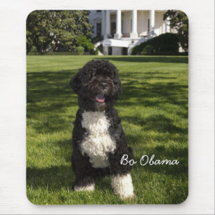Bo Obama Mousepad