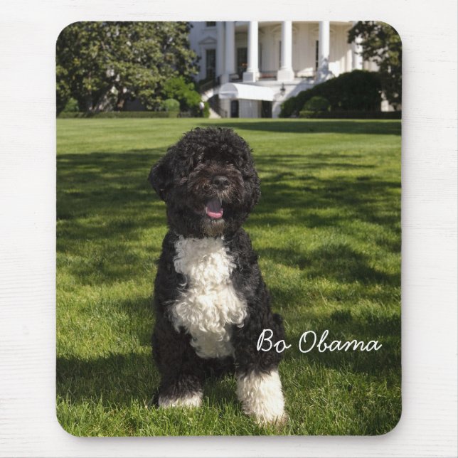 Bo Obama Mousepad (Vorne)
