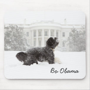 Bo Obama Mousepad