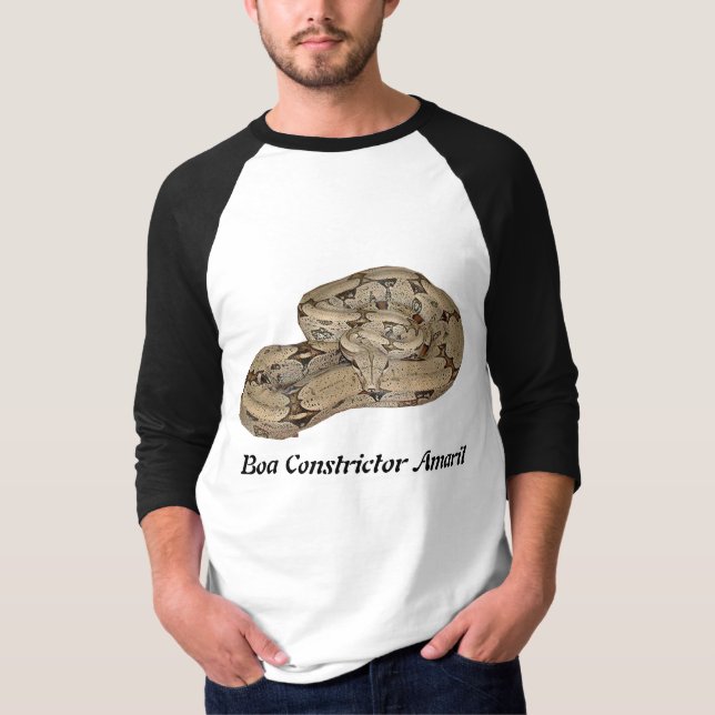 Boa constrictor Amaril 3/4 HülseRaglan T-Shirt (Vorderseite)