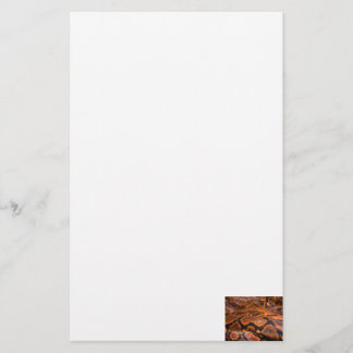 Boa constrictor briefpapier