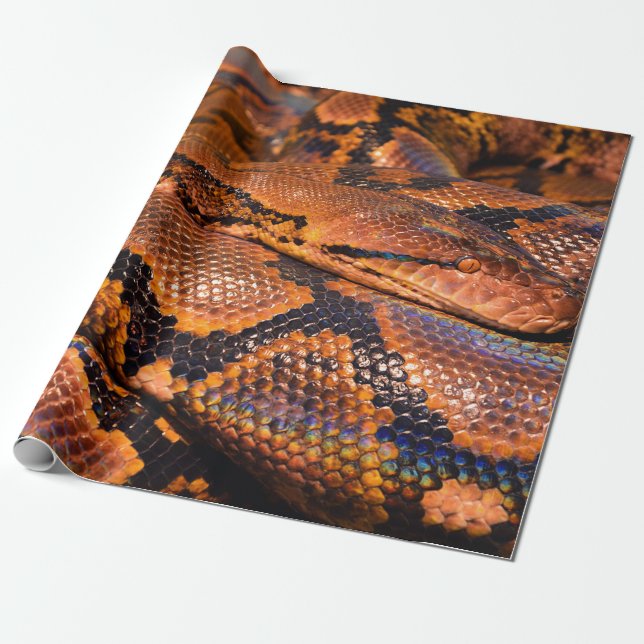 Boa constrictor geschenkpapier (Ungerollt)
