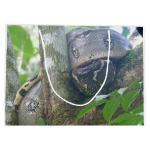 Boa Constrictor-Geschenktasche Große Geschenktüte