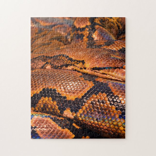 Boa constrictor puzzle (Vertikal)