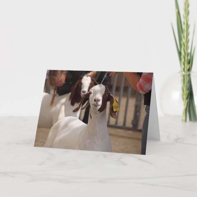 Boar Goat Show Karte (Vorderseite)