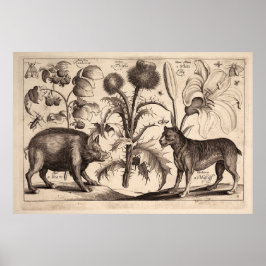 Boar und Mastiff Poster