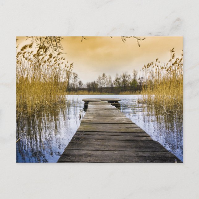 Boardwalk Dock am Fluss Ukraine Postkarte (Vorderseite)