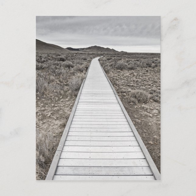 Boardwalk durch die Wüste Postkarte (Vorderseite)