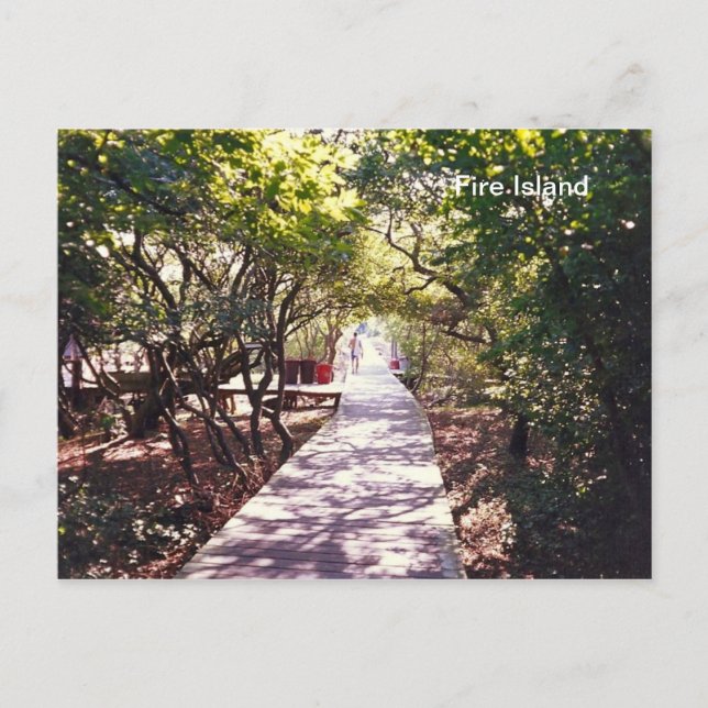 Boardwalk in Davis Park on Fire Is. Postkarte (Vorderseite)