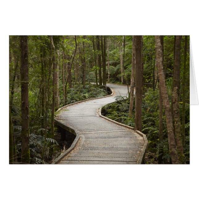 Boardwalk to Nelson Falls, Franklin - Gordon (Vorderseite (Horizontal))