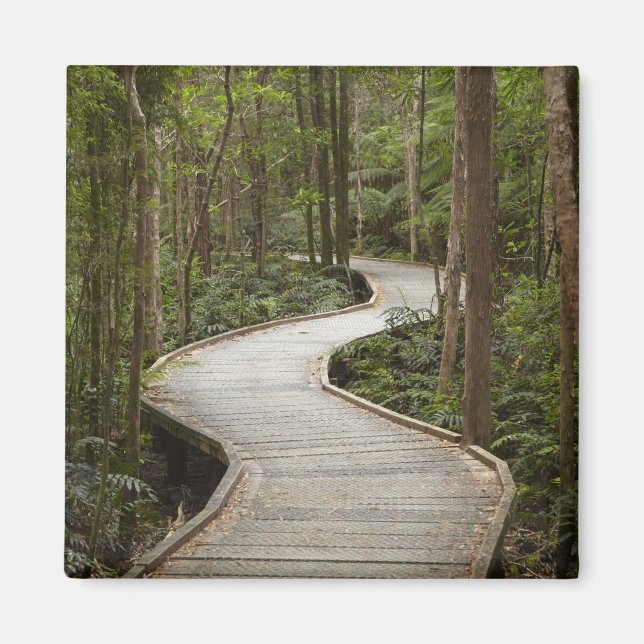 Boardwalk to Nelson Falls, Franklin - Gordon Magnet (Vorne)