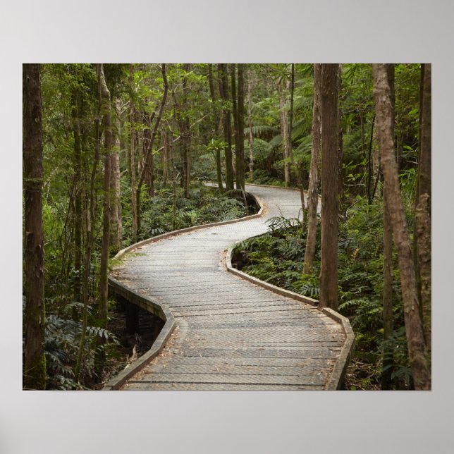 Boardwalk to Nelson Falls, Franklin - Gordon Poster (Vorne)