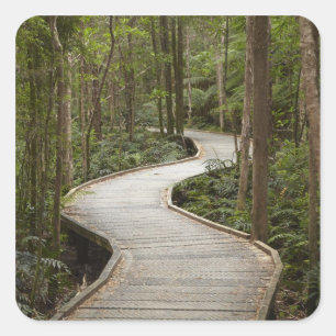 Boardwalk to Nelson Falls, Franklin - Gordon Quadratischer Aufkleber