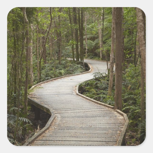 Boardwalk to Nelson Falls, Franklin - Gordon Quadratischer Aufkleber (Vorderseite)