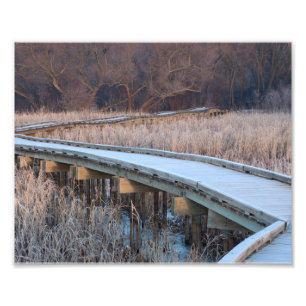 Boardwalk-Traverse in den Wald Fotodruck