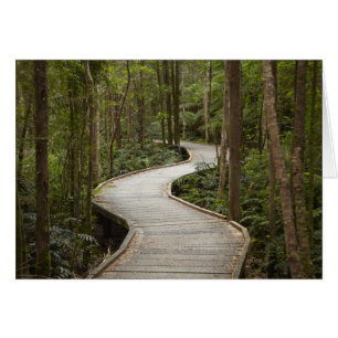 Boardwalk zu Nelson Falls, Franklin - Gordon