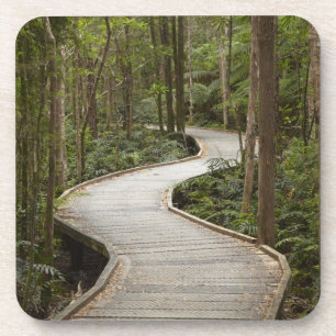 Boardwalk zu Nelson Falls, Franklin - Gordon Untersetzer
