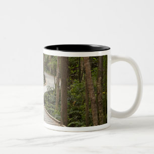 Boardwalk zu Nelson Falls, Franklin - Gordon Zweifarbige Tasse
