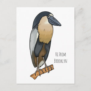 Boat-billed heron bird cartoon illustration postkarte
