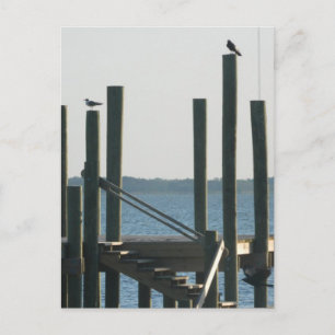 Boat Docks at Dusk Postkarte