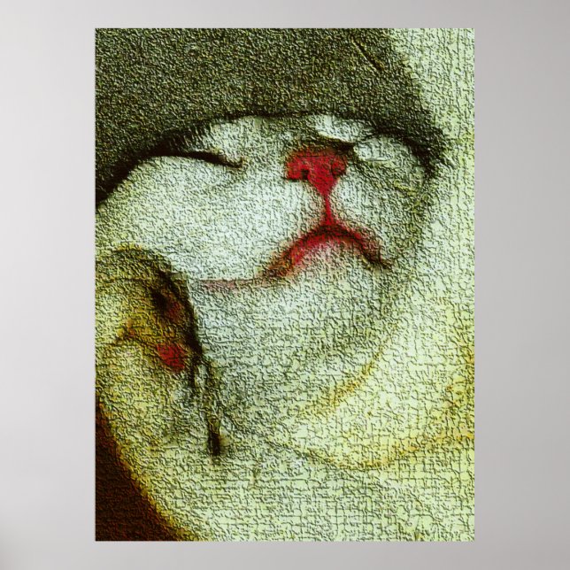 Bob being Bob Poster (Vorne)