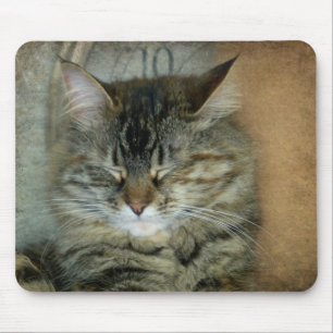 Bob der Katze Mousepad