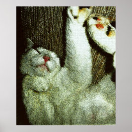 Bob Enjoying A Snooze Poster