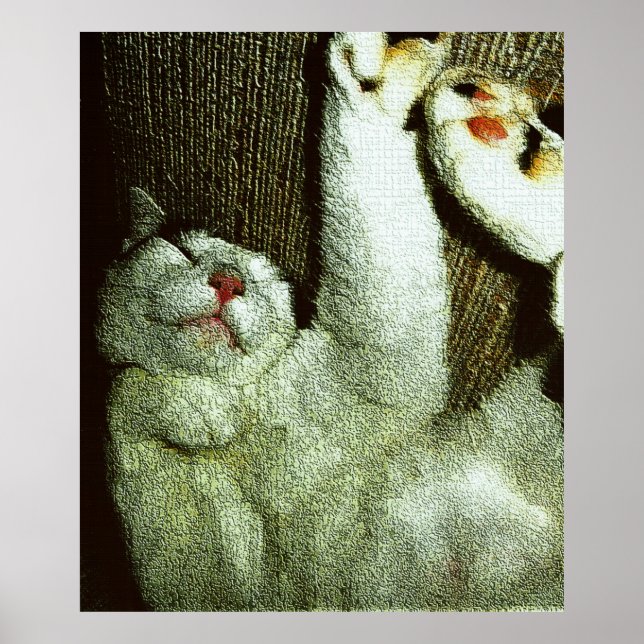 Bob Enjoying A Snooze Poster (Vorne)