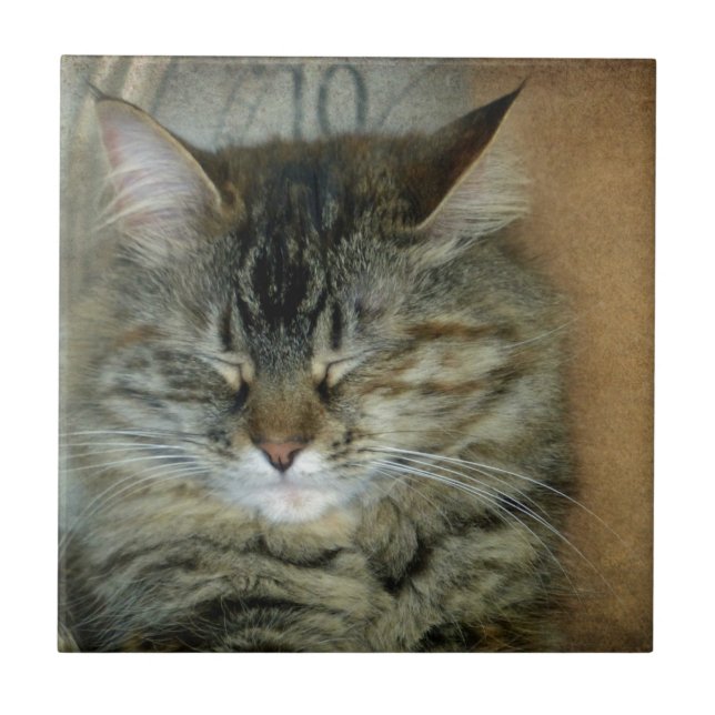 Bob Fliese (Vorderseite)