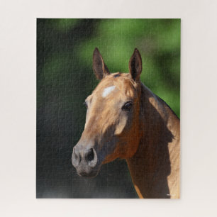 Bob Langrish Akhal Teke Headshot Puzzle
