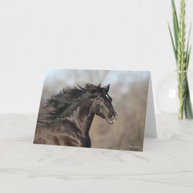 Bob Langrish | Andalusischer Headshot Mane Flows Karte (Vorderseite)