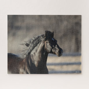 Bob Langrish Andalusischer Headshot Mane Flows Puzzle