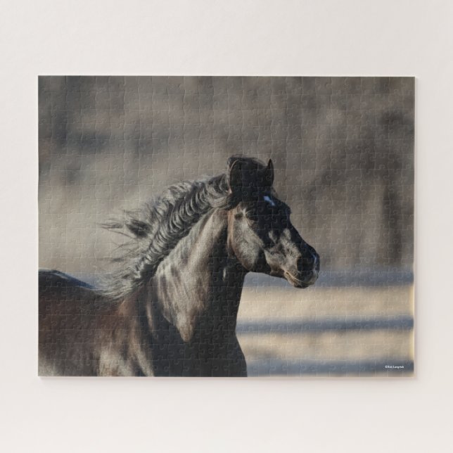 Bob Langrish | Andalusischer Headshot Mane Flows Puzzle (Horizontal)
