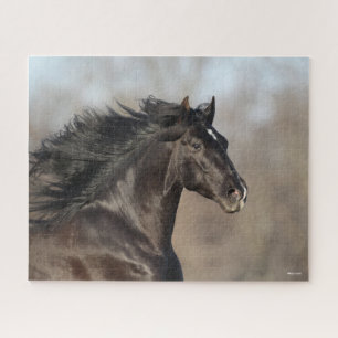Bob Langrish Andalusischer Headshot Mane Flows Puzzle