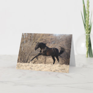 Bob Langrish Andalusischer Running Karte