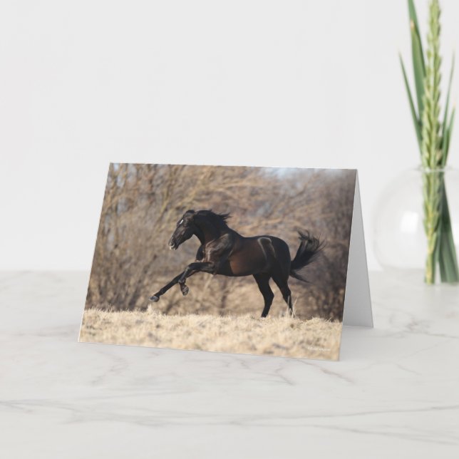 Bob Langrish | Andalusischer Running Karte (Vorderseite)