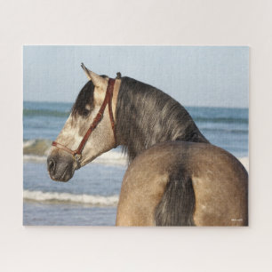 Bob Langrish Andalusischer Stallion Puzzle