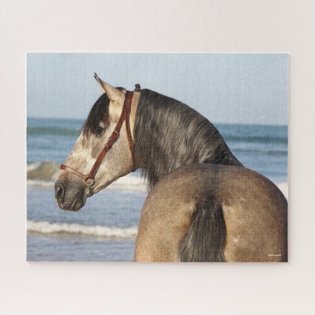 Bob Langrish | Andalusischer Stallion Puzzle (Horizontal)