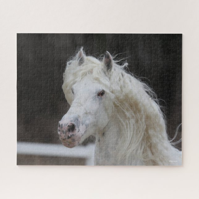 Bob Langrish Appaloosa Friesian Stallion Headshot Puzzle (Horizontal)