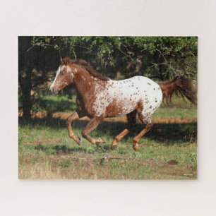 Bob Langrish   Appaloosa Pferderennen Puzzle