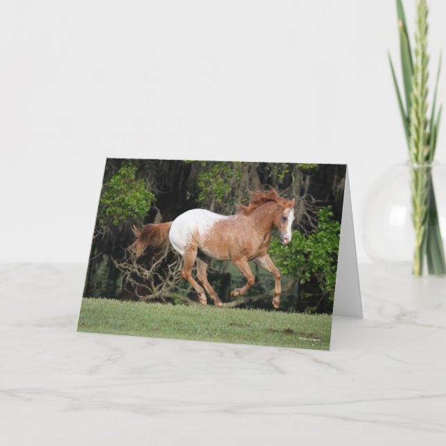 Bob Langrish | Appaloosa Running Karte (Vorderseite)