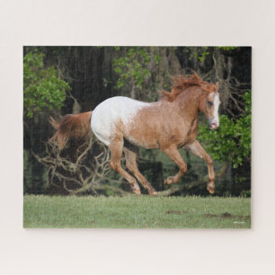 Bob Langrish   Appaloosa Running Puzzle