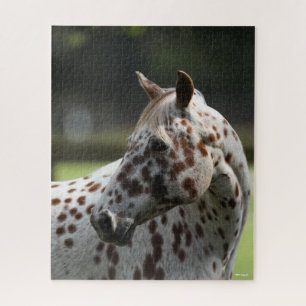 Bob Langrish   Appaloosa Stehend Headshot Puzzle