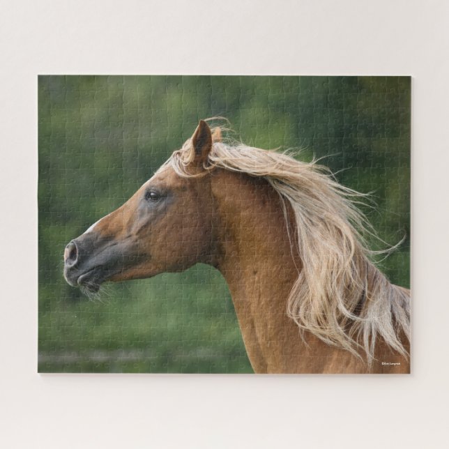Bob Langrish | Arab Stallion Headshot Manflows Puzzle (Horizontal)