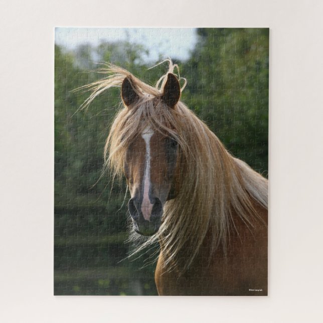 Bob Langrish | Arab Stallion Headshot Puzzle (Vertikal)